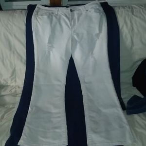 Amethyst distressed/worn jeans